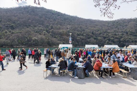 Na Danima limskih oštriga očekuje vas bogat program. I jedna novina