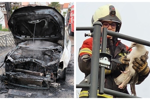 Pogledajte čime su se jučer bavili vatrogasci u Umagu