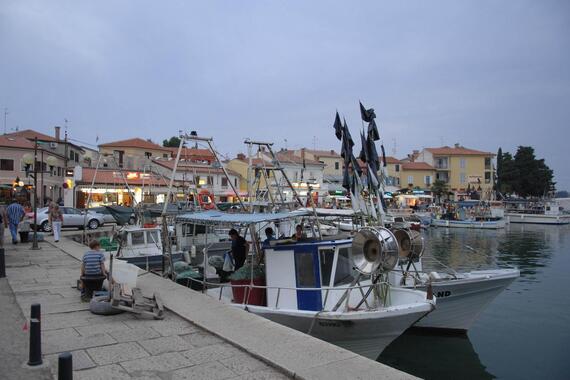 Novigrad potiče poduzetništvo. Ovo su iznosi