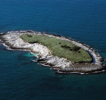 Otok Fenoliga