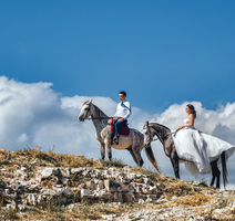 Stefano i Denisse na vjenčanju