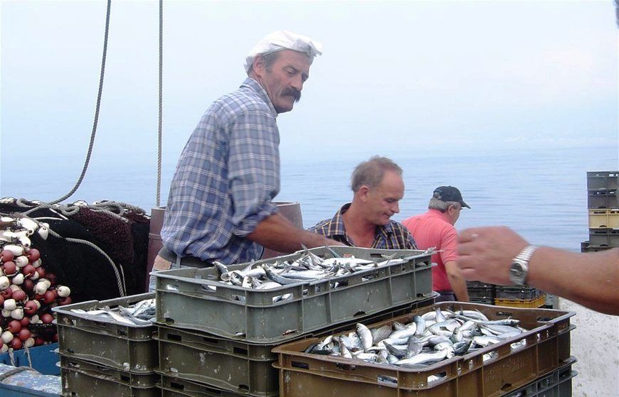 Državna subvencija iznosi 35 lipa po kili ulovljene ribe
