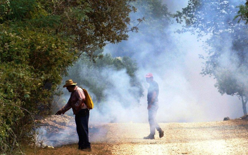 U Gašenju požara kod Baderne pomoglo je i 50-ak mještana