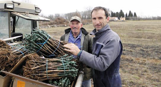 Romeo Licul i njegov zet Roberto Paliska  